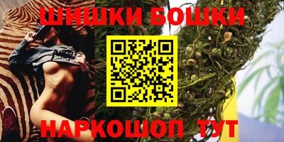 крисы Будённовск