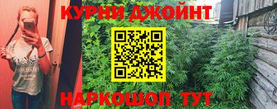 крисы Будённовск