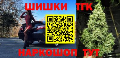 крисы Будённовск