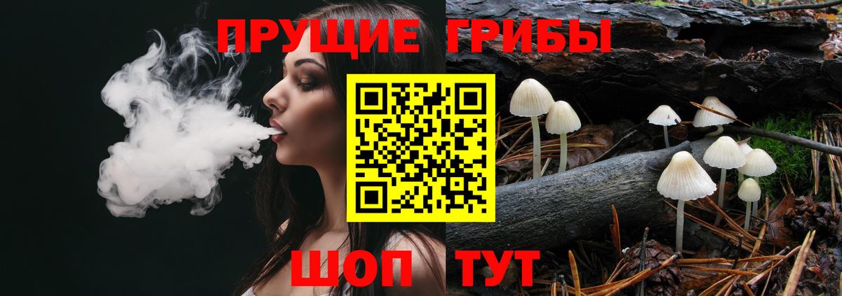 Псилоцибиновые грибы MAGIC MUSHROOMS  купить наркотики цена  Киржач  Вход с VPN 